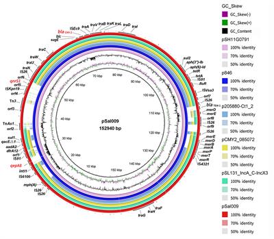 Characterization of extended-spectrum cephalosporins and fluoroquinolone resistance of a Salmonella enterica serovar Thompson isolate from ready-to-eat pork product in China